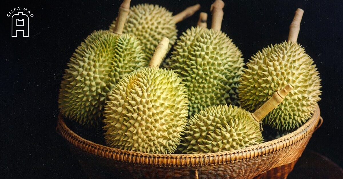 ประวัติทุเรียน