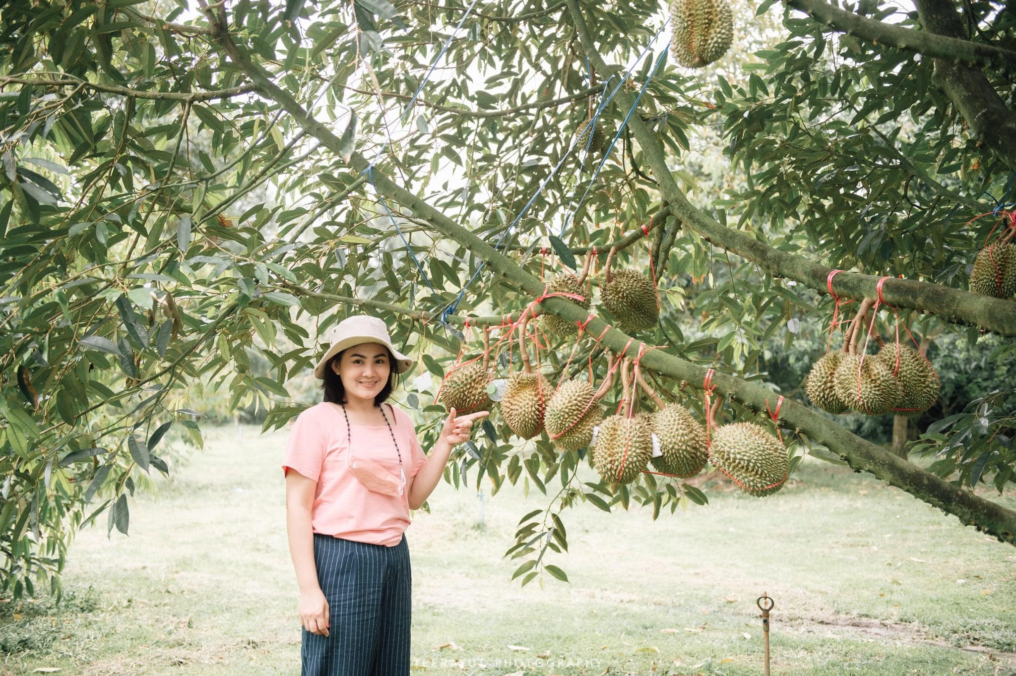 ทุเรียนกับการท่องเที่ยว
